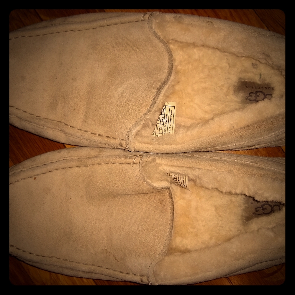 Men's UGG shoes